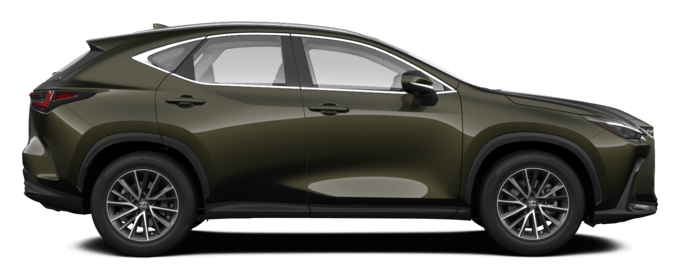 NX - Business - SUV 5D