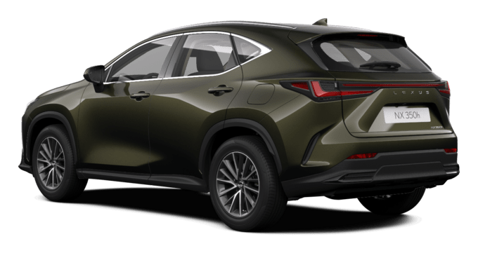 NX - Business - SUV 5D