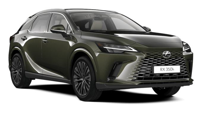 RX - Executive - SUV 5D MWB