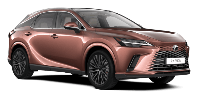 RX - Executive - SUV 5D MWB