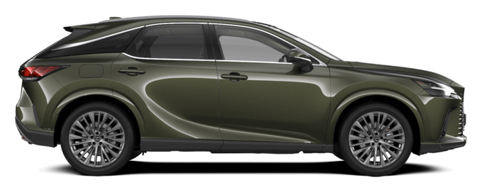 RX - Luxury - SUV 5D MWB