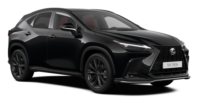 NX - F Sport - Karavan 5 vrat