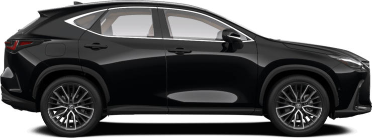 NX - Luxury H - 5 qapılı SUV