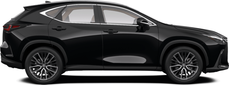 NX - Luxury 1 - 5 qapılı SUV