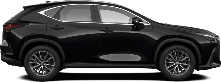 NX - Executive - SUV