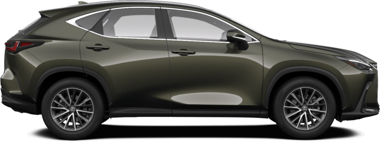 NX - Business - SUV 5-ust