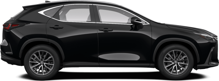 NX - Comfort - SUV
