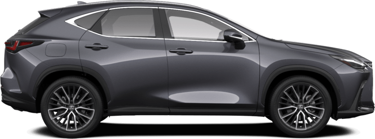 NX - Executive - SUV