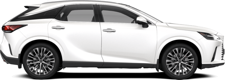 RX - Hybrid Executive - 5 კარიანი ქროსოვერი