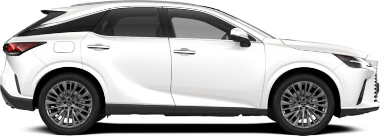 RX - Luxury - 5 dyra