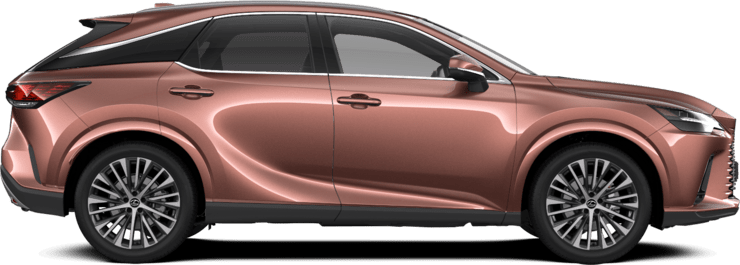 RX - Executive - SUV 5 porte