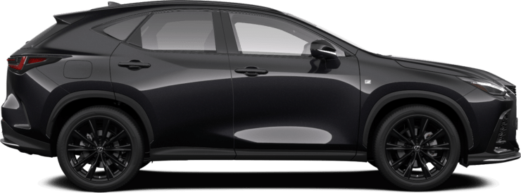 NX - F SPORT S Sun - 5d