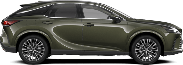 RX - PRESTIGE TOP - SUV